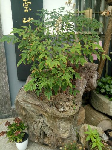 Agroturismo Qike Inn