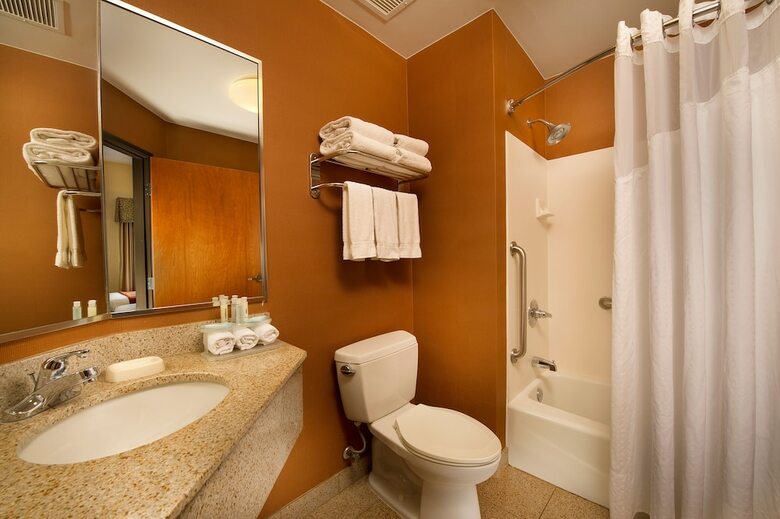Hotel Holiday Inn Express San Antonio N-riverwalk Area