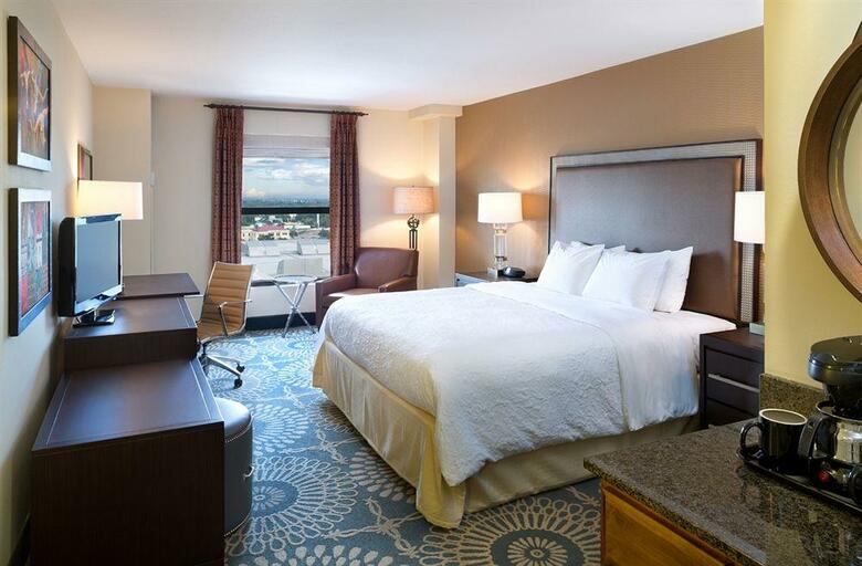 Hotel Hampton Inn & Suites Austin-downtown Tx