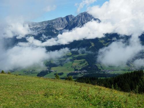 Apartamentos Alpenappartement Europa