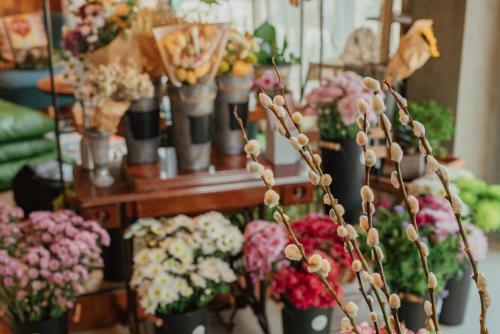 Bed & Breakfast The Floral Lab
