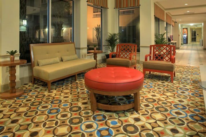 Hotel Hilton Garden Inn Tampa North