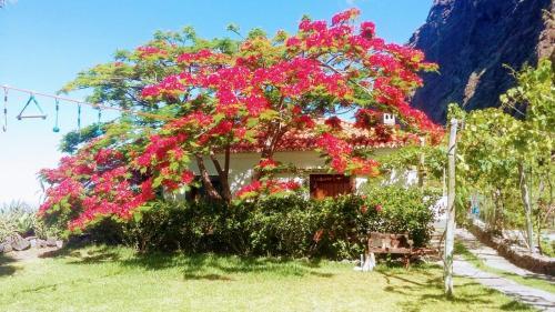 Villa Faj� Dos Padres
