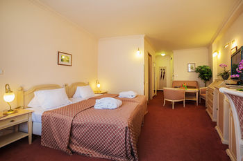 Interhotel Central