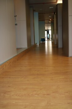 Albergue Compostela