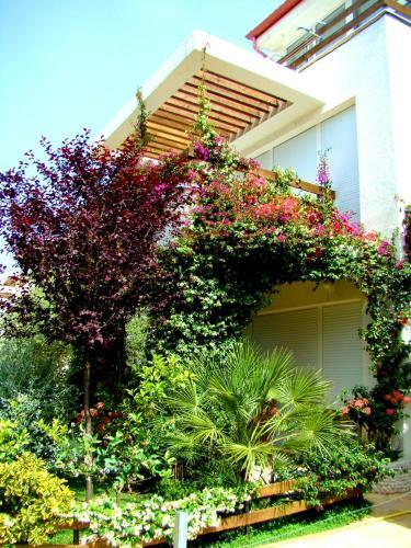 The Olive Terrace Apartments