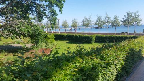 Apartamento Haus S�dstrand