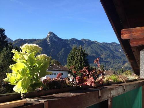 Apartamento Ferienwohnung Jahn