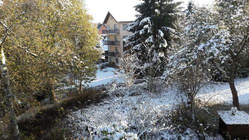 Apartamento Haus Steeg