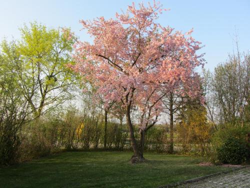 Apartamento Appartementhaus Stephanie