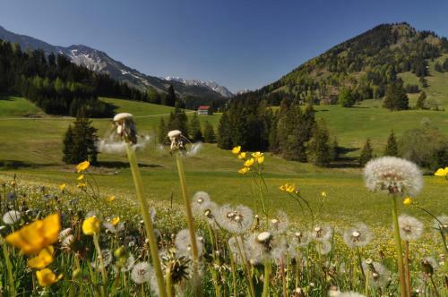 Landhotel Berghof