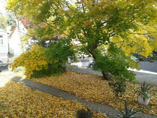 Hostal Pension Haus Marga