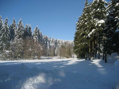 Apartamento Ferienwohnung Schneemann