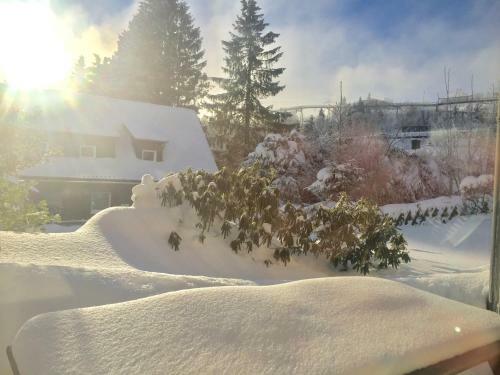 Apartamento Winterberger Lodge