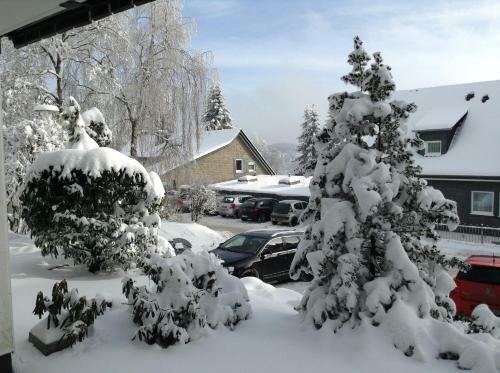 Apartamento Winterberger Lodge