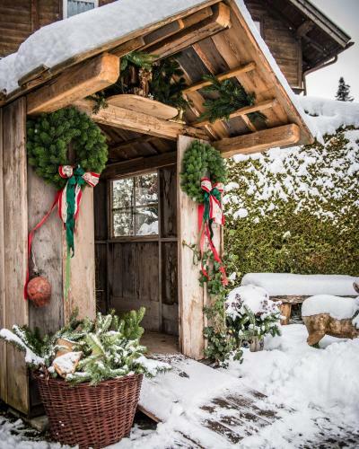 The Alpine Apartment