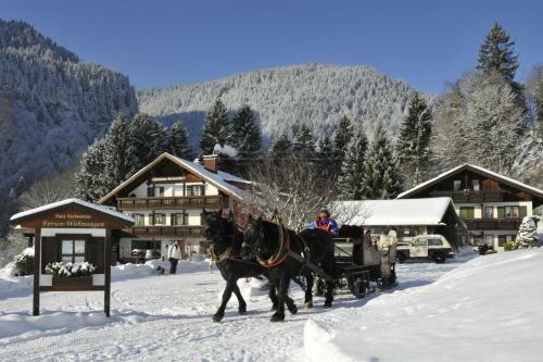 Apartamento Gschwenderhaus Ferienwohnungen