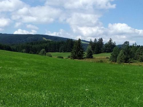 Apartamento Ferienwohnung Karin