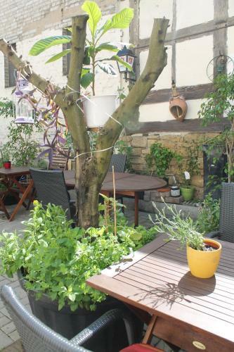 Hostal Hotel Goldener Stern