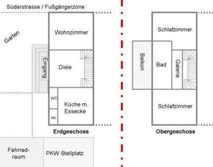 Roter Seestern