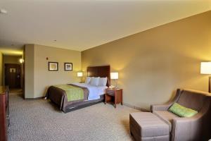 Hotel Comfort Inn Pharr