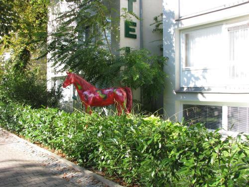 Hostal Hotel Haus Bismarck
