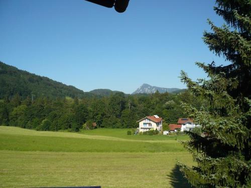 Hostal G�stehaus Menkenbauer