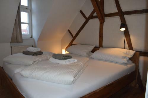 Stella Apartments Am Erfurter Dom