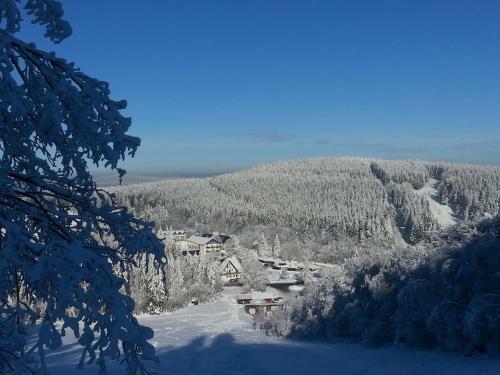 Hotel Winterberg Resort