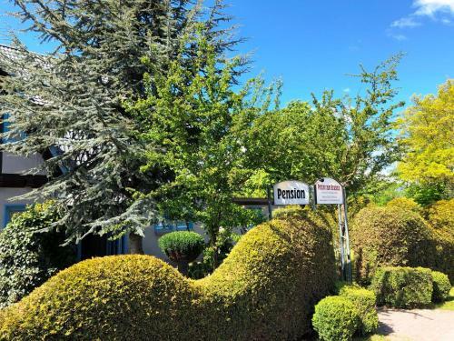 Hostal Pension Zum Brauhaus
