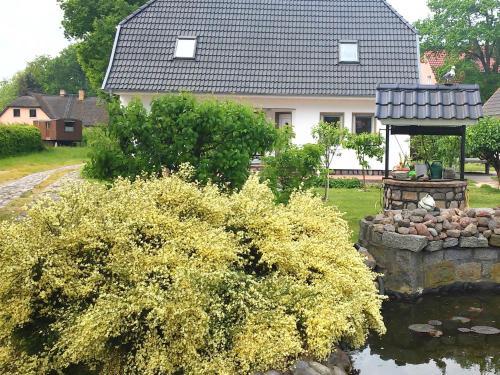 Apartamento Ferienwohnung Zingst - Am Museumshof