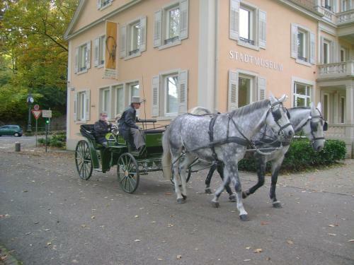 Apartamento Berthold Suite