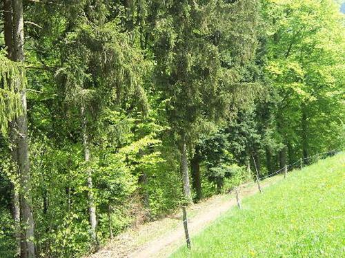 Apartamento Stinneshof