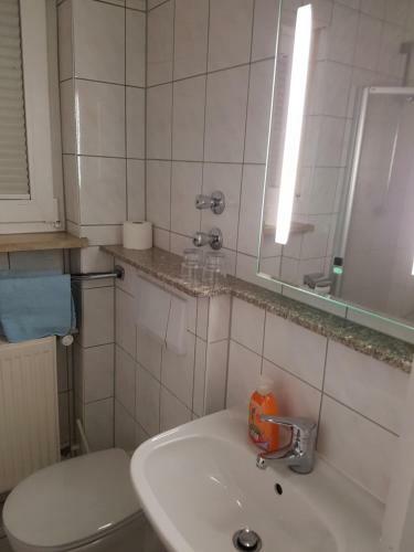 Hostal Hotel Winhart