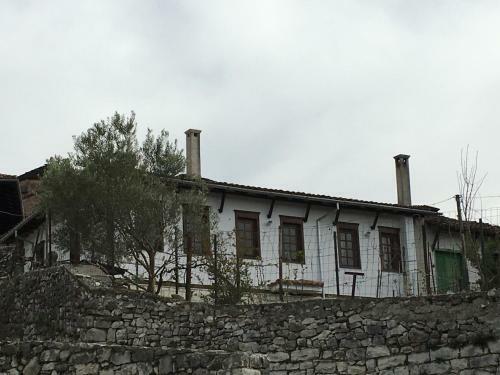 Hostal Pjetri House