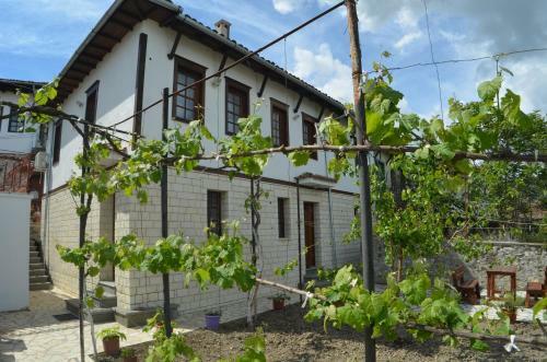 Hostal Pjetri House