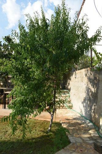 Hostal J&b Rooms Dhermi