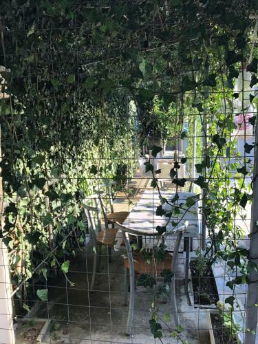 Hostal Fati Guest House