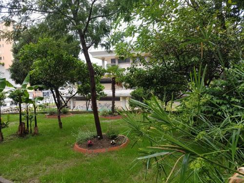 Hotel Ceka