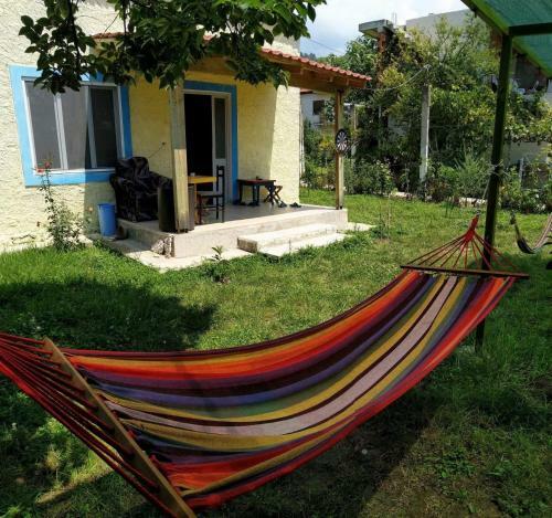 Backpacker Hostel