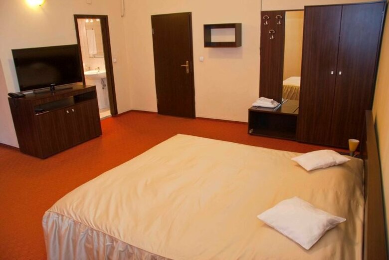 Hotel Victoria Timisoara