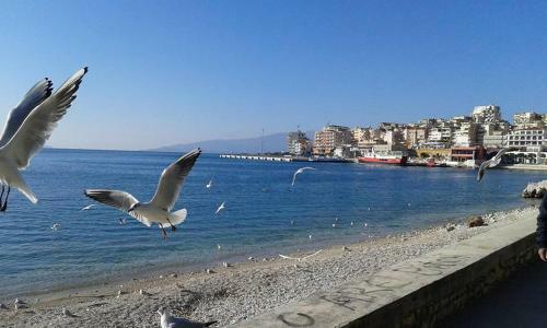 Beautifull Holiday Apartment (10)