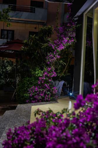 Priv� City Hotel