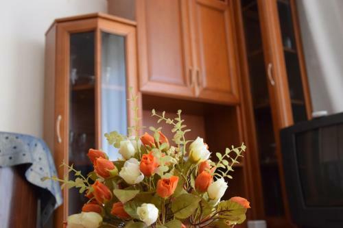 Tirana Central Apartment
