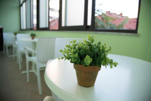 Albergue Sleep & Go
