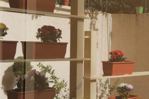 All Stars Hostel In Tiran�