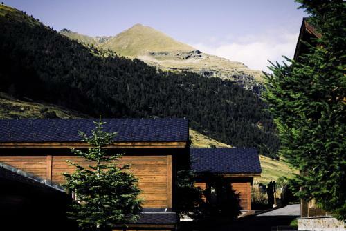 Apartamento Vitivola Pleta Peu Del Riu Incles