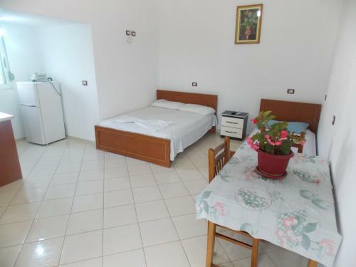 Tradition Apartments