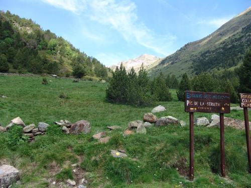 Apartmento Incles Novell II