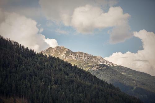 Apartamento Haus Alpenk�nig